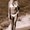 Photo of Janine W.