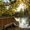 Photo of Jodi C.