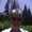 Photo of David S.