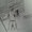 Photo of Mitchel S.