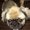 Photo of Lola B.