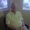 Photo of Bob M.