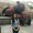 Photo of Sanjana S.