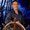 Photo of Paul C.