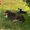 Photo of Debbie A.