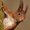 Photo of Qype User (Haseln…)