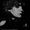 Photo of Donna M.