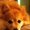 Photo of Jacky L.