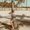 Photo of Amber H.