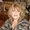 Photo of rosanne k.