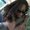Photo of Dawnetta M.