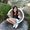 Photo of Jacqi B.