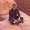 Photo of Johnnycakes F.