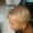 Photo of Danny Boy B.
