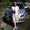 Photo of Matt M.