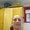 Photo of Stacie M.