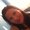 Photo of Karlyn G.