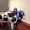 Photo of Shawna R.