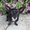 Photo of Lizette M.