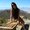 Photo of Tiffany L.