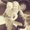 Photo of Darla H.