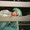 Photo of Simran J.