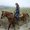 Photo of Donna M.