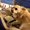 Photo of Andrew H.