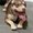 Photo of Seng T.