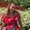 Photo of Jackeline D.