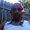 Photo of Tony M.