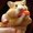 Photo of Qype User (rya8a4…)
