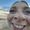 Photo of Lilianna J.