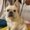 Photo of Chloe W.