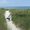 Photo of Mike C.