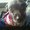 Photo of Ashleigh F.