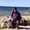 Photo of Sue A.
