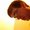 Photo of Duck L.