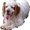 Photo of Qype User (bumpki…)