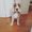Photo of Tani T.