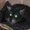 Photo of Meine Frank L.
