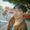 Photo of Vien S.