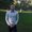 Photo of Dmitriy G.