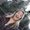 Photo of Samantha M.