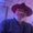Photo of Fabrice T.