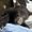 Photo of Sunfish S.