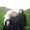 Photo of Qype User (kerrym…)