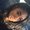 Photo of Canidoyourhair G.