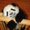 Photo of Baby Panda F.