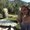 Photo of Brianne S.